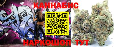 дживик Славгород
