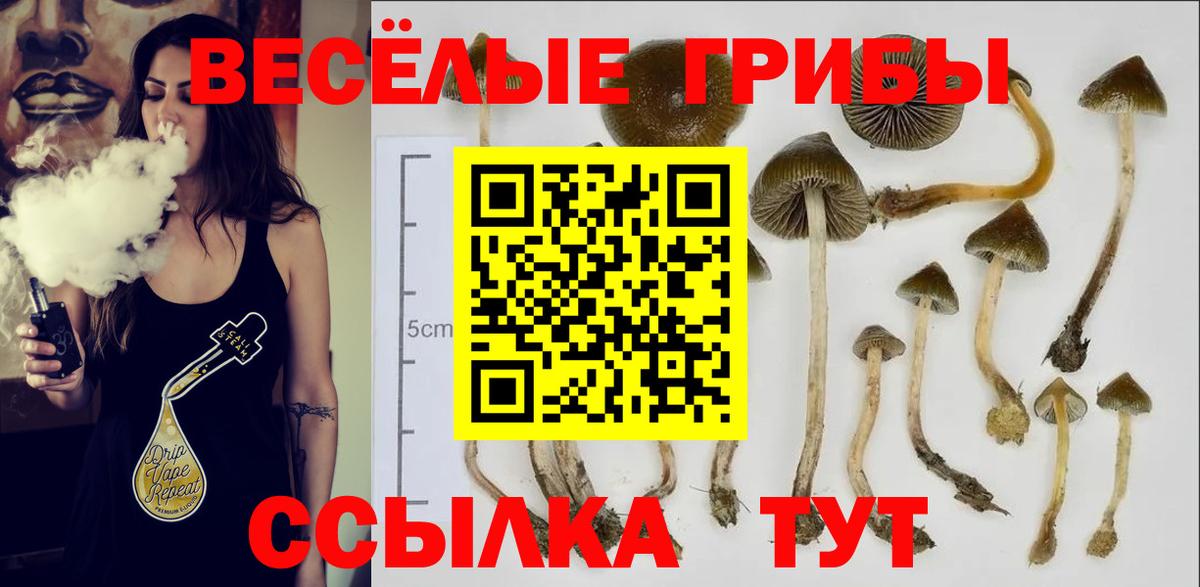 Галлюциногенные грибы ЛСД  Галлюциногенные грибы прущие грибы  Туймазы  Вход с VPN 